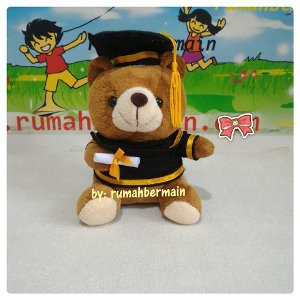 Jual Boneka Wisuda Bear Beruang Toga 15cm Graduation Doll Boneka