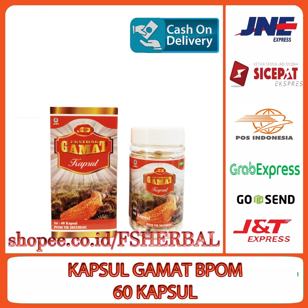 Jual Kapsul Ekstrak Gamat 60 Kapsul SYIFA HERBAL Shopee Indonesia