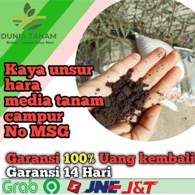 Jual Media Tanam Tanah Lembang Asli Bandung Padat Gembur Subur Humus