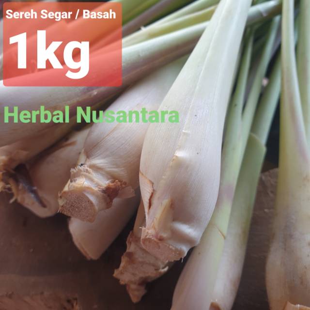 Jual Sereh Segar Basah 1kg Serai Bumbu Herbal Berkhasiat Shopee