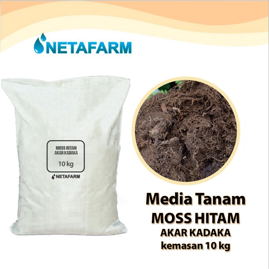 Jual Media Tanam Moss Hitam Akar Kadaka 10kg Shopee Indonesia