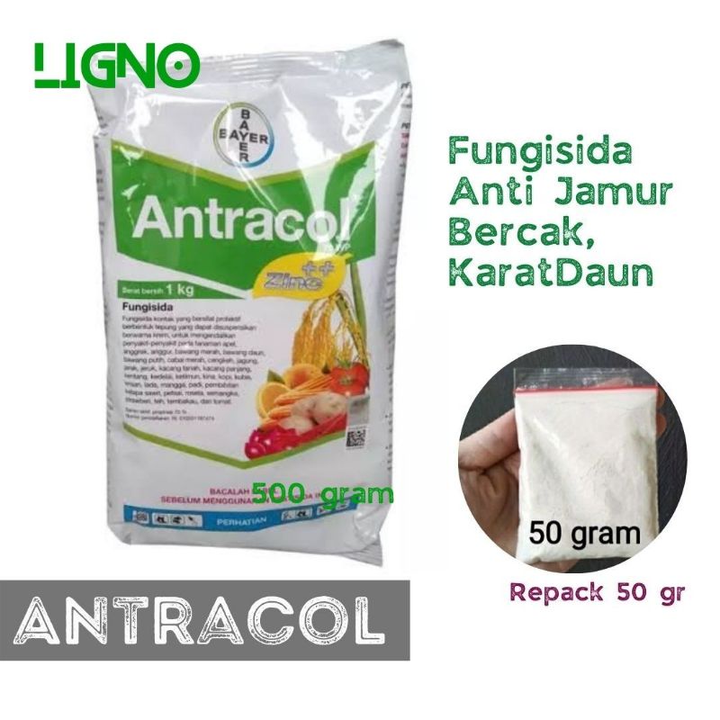 Jual Antracol Gram Fungisida Anti Jamur Penyakit Bercak Karat Daun