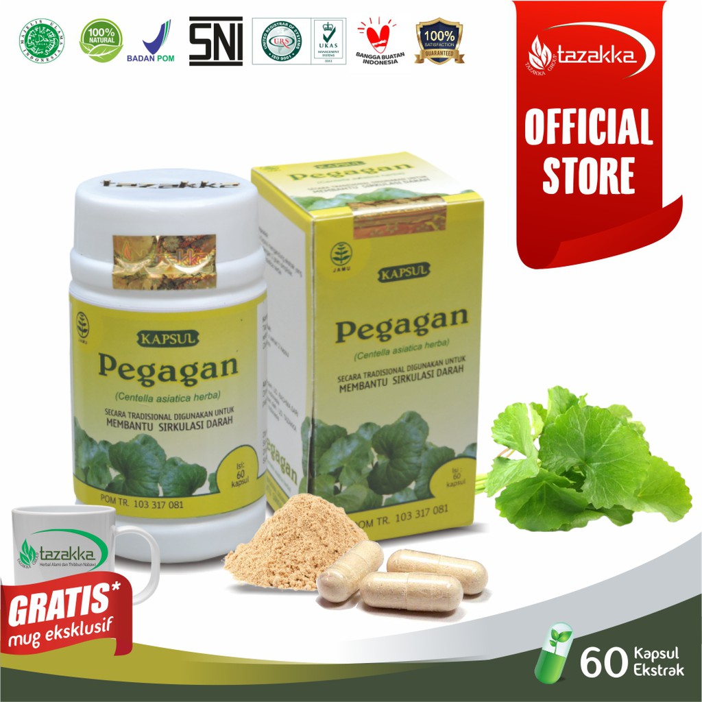 Jual Kapsul Pegagan Obat Sakit Kepala Antidepresan Herbal Ekstrak