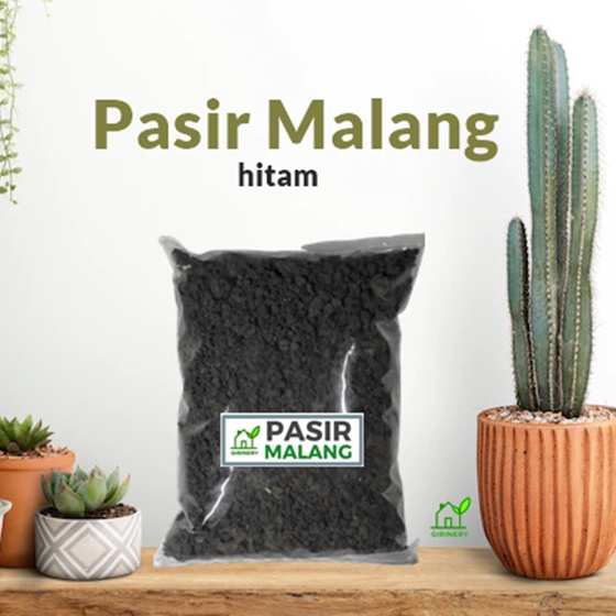 Jual PASIR MALANG HITAM Untuk Media Tanam Kaktus Sukulen 1 Kg