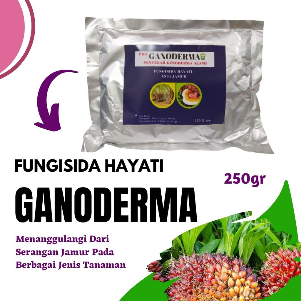 Jual Ganoderma Sp Fungisida Untuk Mencegah Penyakit Jamur Akar Putih