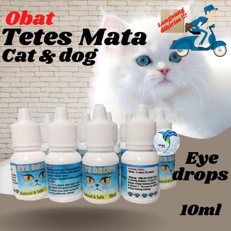 Jual Obat Tetes Mata Kucing Eye Drops Obat Sakit Mata Kucing Belekan