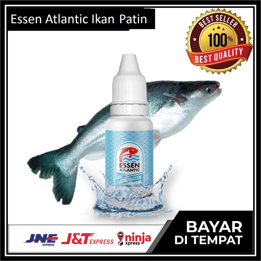 Jual Umpan Ikan Patin Essen Atlantik Atlantic Mancing Galatama