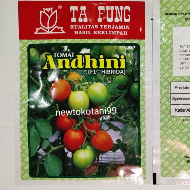 Jual Benih Tomat Hibrida ANDHINI F1 5 Gram TaFung Tomat Dataran Rendah