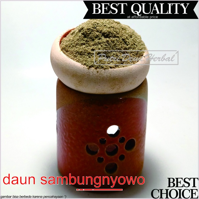 Jual Daun Sambung Nyawa Bubuk 1 Kg 1000 Gram Serbuk Sambungnyowo