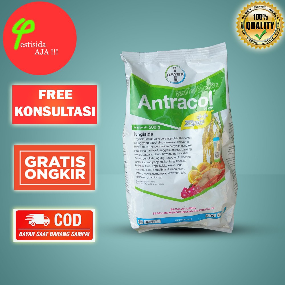 Jual ANTRACOL 70 WP ZINC 1 KILOGRAM 1 KG FUNGISIDA BERCAK UNGU BERCAK