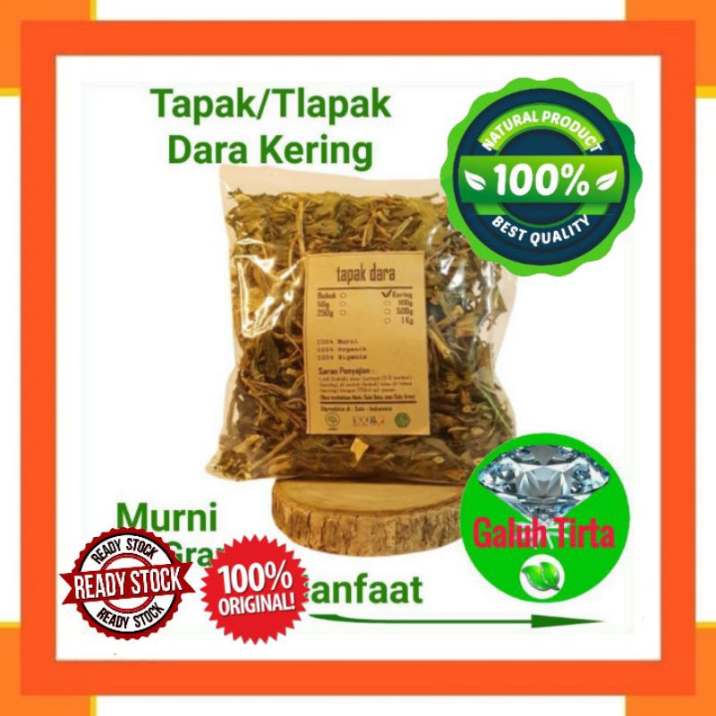 Jual Daun Tapak Dara Doro Kering Gram Catharanthus Roseus Obat