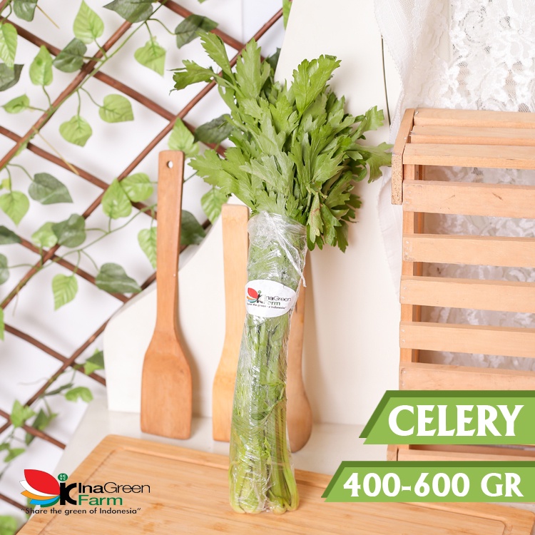 Jual Inagreen Farm Bandung Seledri Batang Besar Celery Stick Shopee