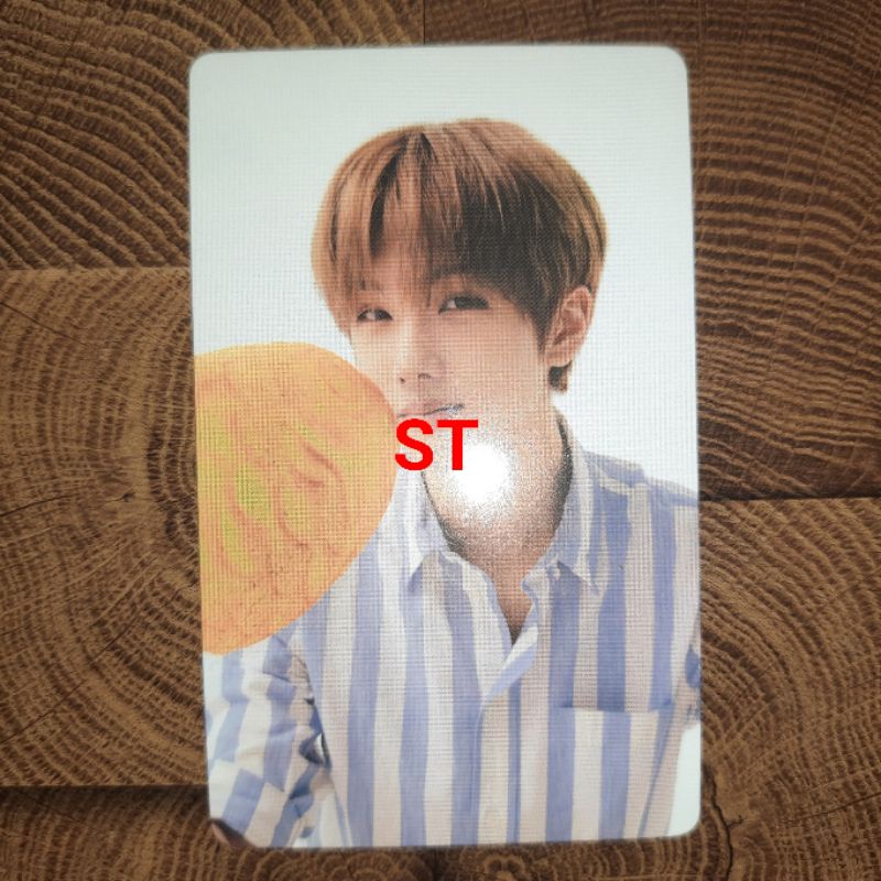 Jual Sharing Photocard Nct Dream Seasons Greeting Benefit Website