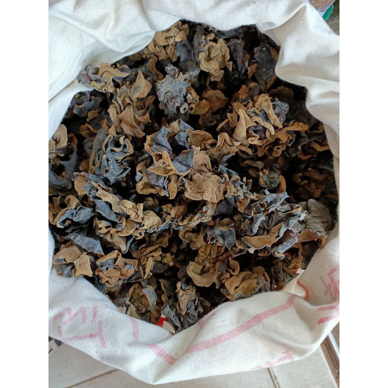 Jual Jamur Kuping Hitam Jamur Kuping Import Dried Black Fungus