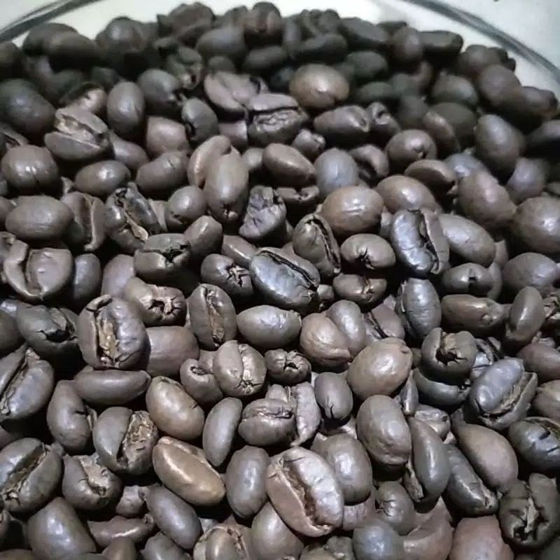 Jual Biji Sangrai Kopi Excelsa Liberika Kopi Nongko Temanggung Gram