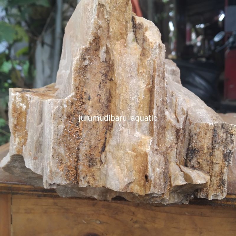 Jual Batu Fosil Kayu Aquascape Shopee Indonesia