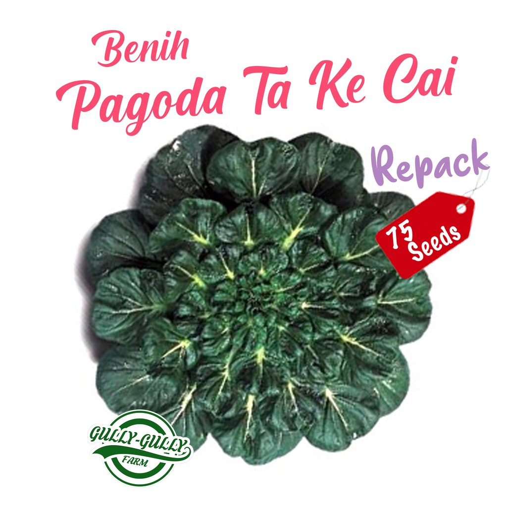 Jual Repack Benih Sawi Pagoda Ta Ke Cai Bibit Tanaman Sayur