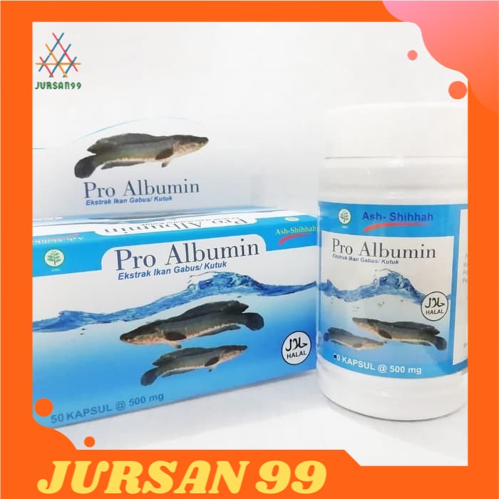 Jual Ash Shihah Pro Albumin 100 Ekstrak Ikan Gabus Kutuk Albumin