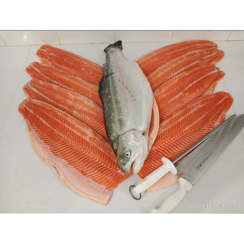 Jual Ikan Salmon Fillet Premium Shopee Indonesia