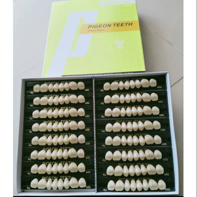 Jual Gigi Palsu Pigeon Posterior Geraham Gigi Tiruan Resin Teeth