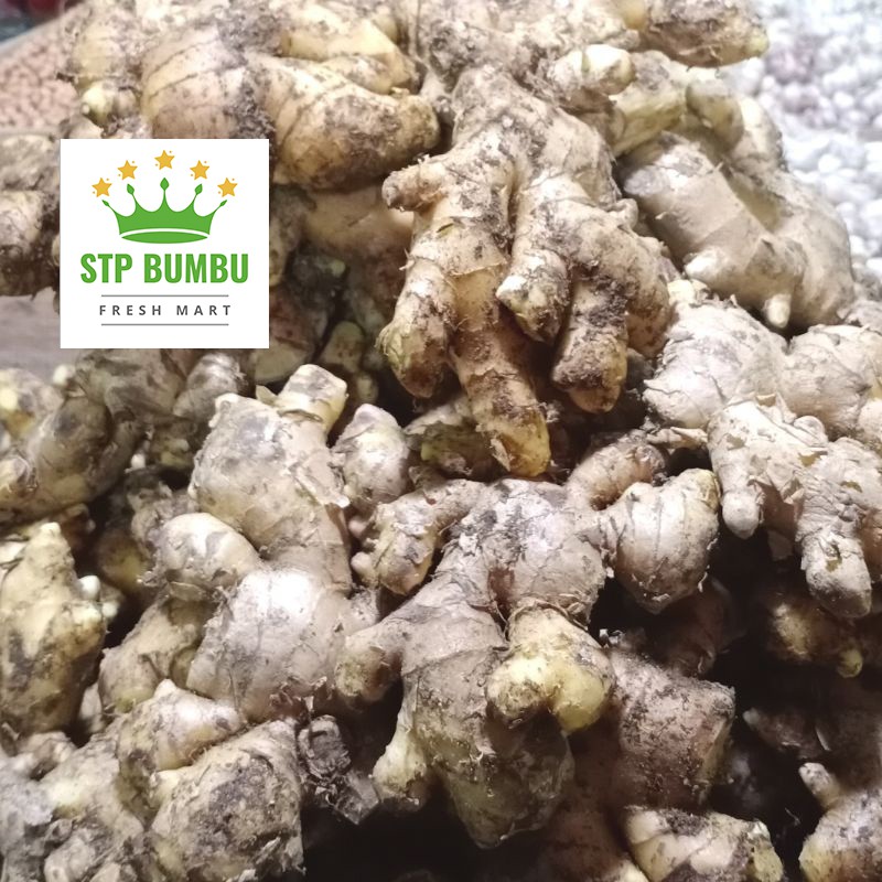 Jual Jahe Putih Super Segar Gram Jahai Gajah Fresh Shopee Indonesia