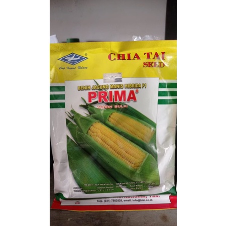 Jual Benih Jagung Manis Hibrida F1 Bisi PRIMA Kemasan 250gr Shopee