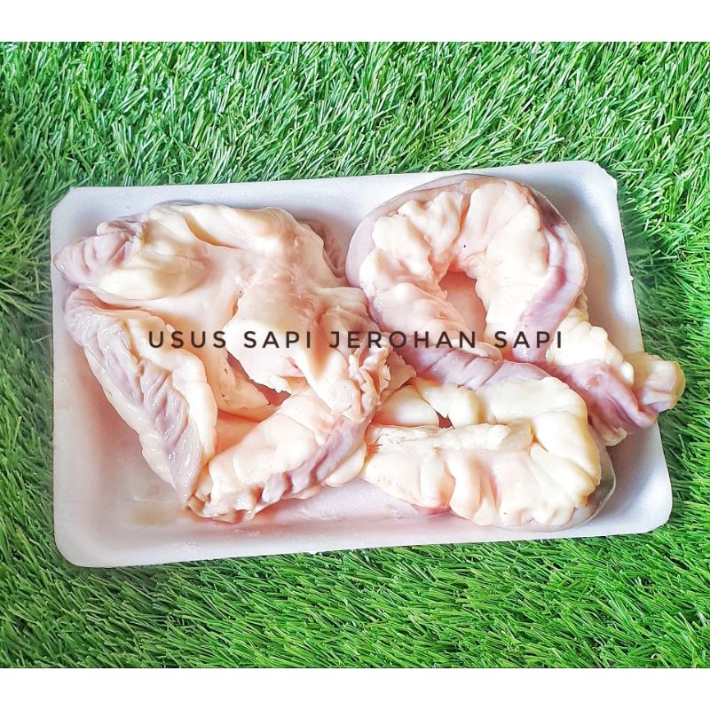 Jual Usus Sapi Jeroan Usus Iso Sapi Bersih Shopee Indonesia