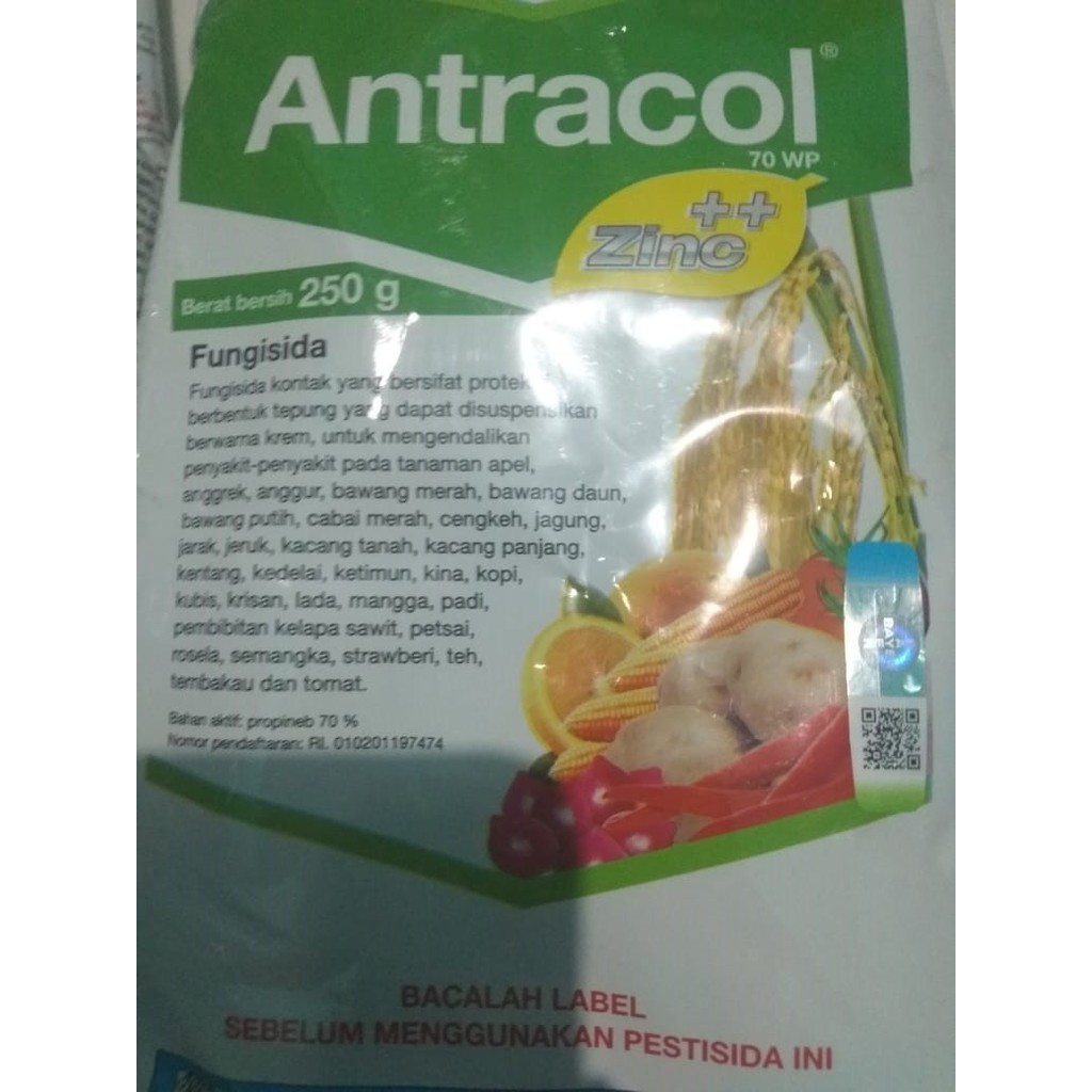 Jual Antracol Wp Plus Zinc Gr Fungisida Tanaman Shopee Indonesia