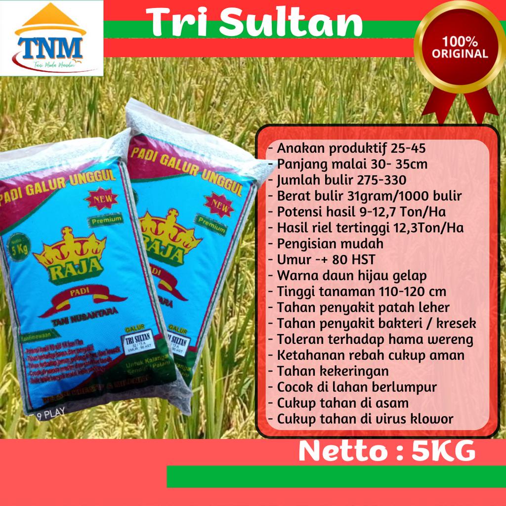 Jual Biji Padi Unggul Tri Sultan Kemasan 5KG Shopee Indonesia