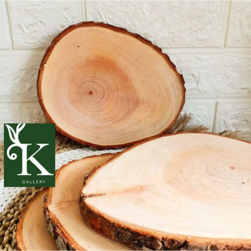 Jual SLICE WOOD POTONGAN KAYU 20 SD 25 CM Shopee Indonesia