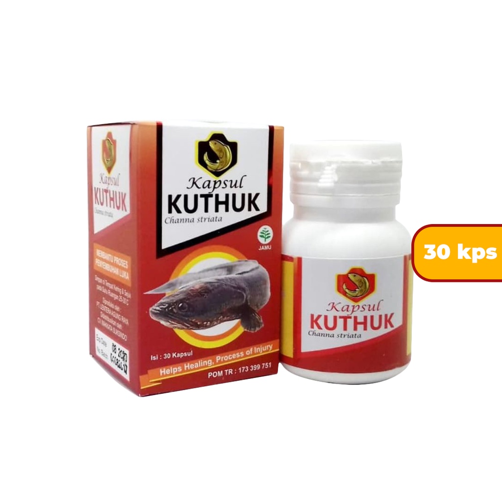 Jual Kapsul Kutuk Premium Asli Original Ekstrak Albumin Sulosi