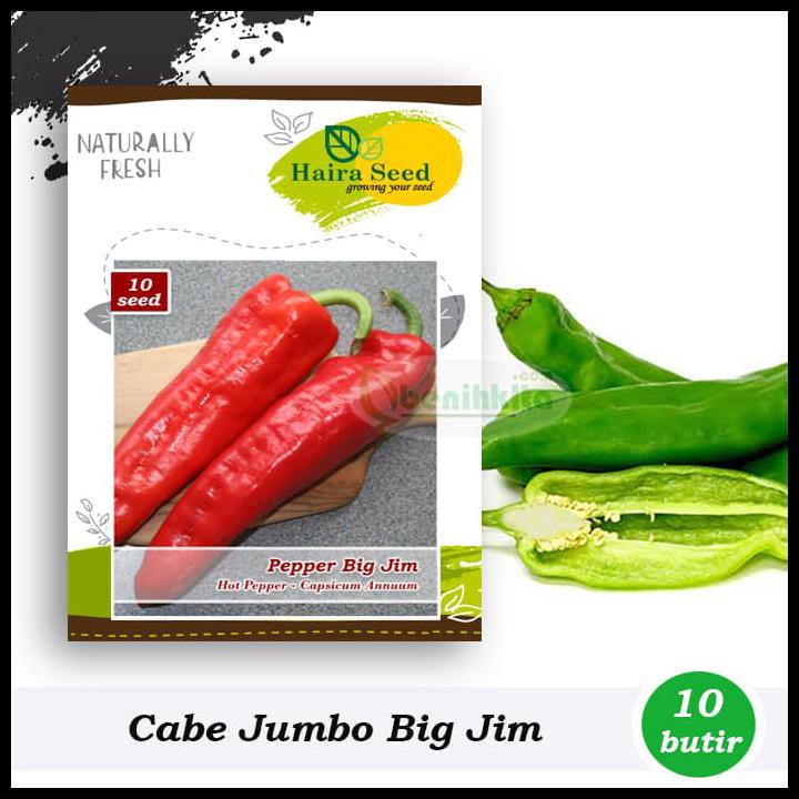 Jual BENIH BIBIT CABE JUMBO BIG JIM HAIRA SEED Shopee Indonesia