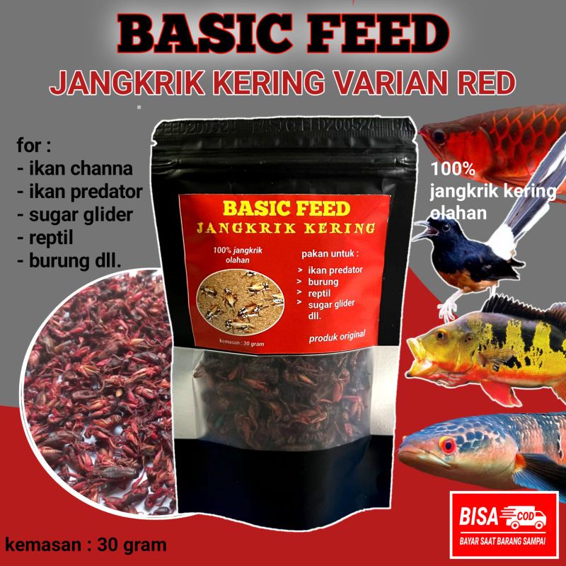 Jual Jangkrik Kering Red BASIC FEED 30gr Makanan Ikan Predator