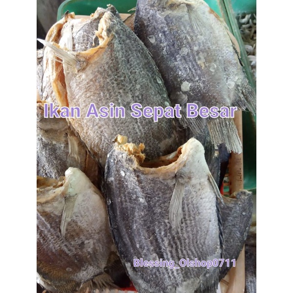 Jual Ikan Asin Sepat Besar Shopee Indonesia