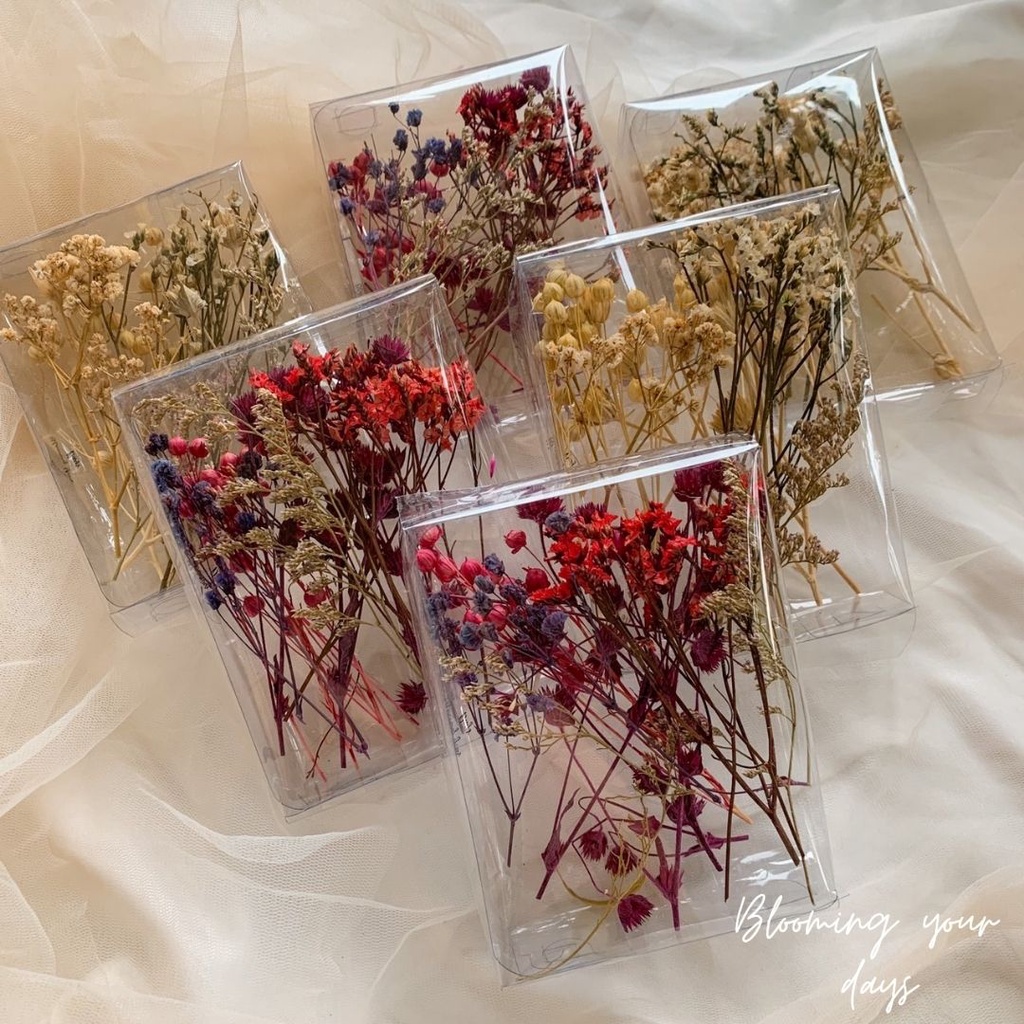 Jual Bloomingyourdays Bunga Kering Dried Flower Bundle Mix Diy Glass