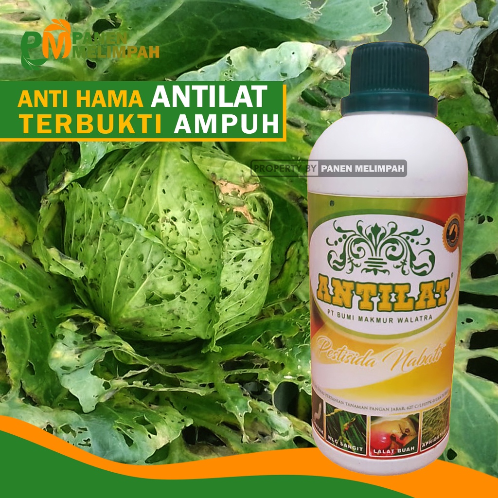 Jual Pupuk Pestisida Organik Cair Pembasmi Hama Anti Hama Tanaman Racun