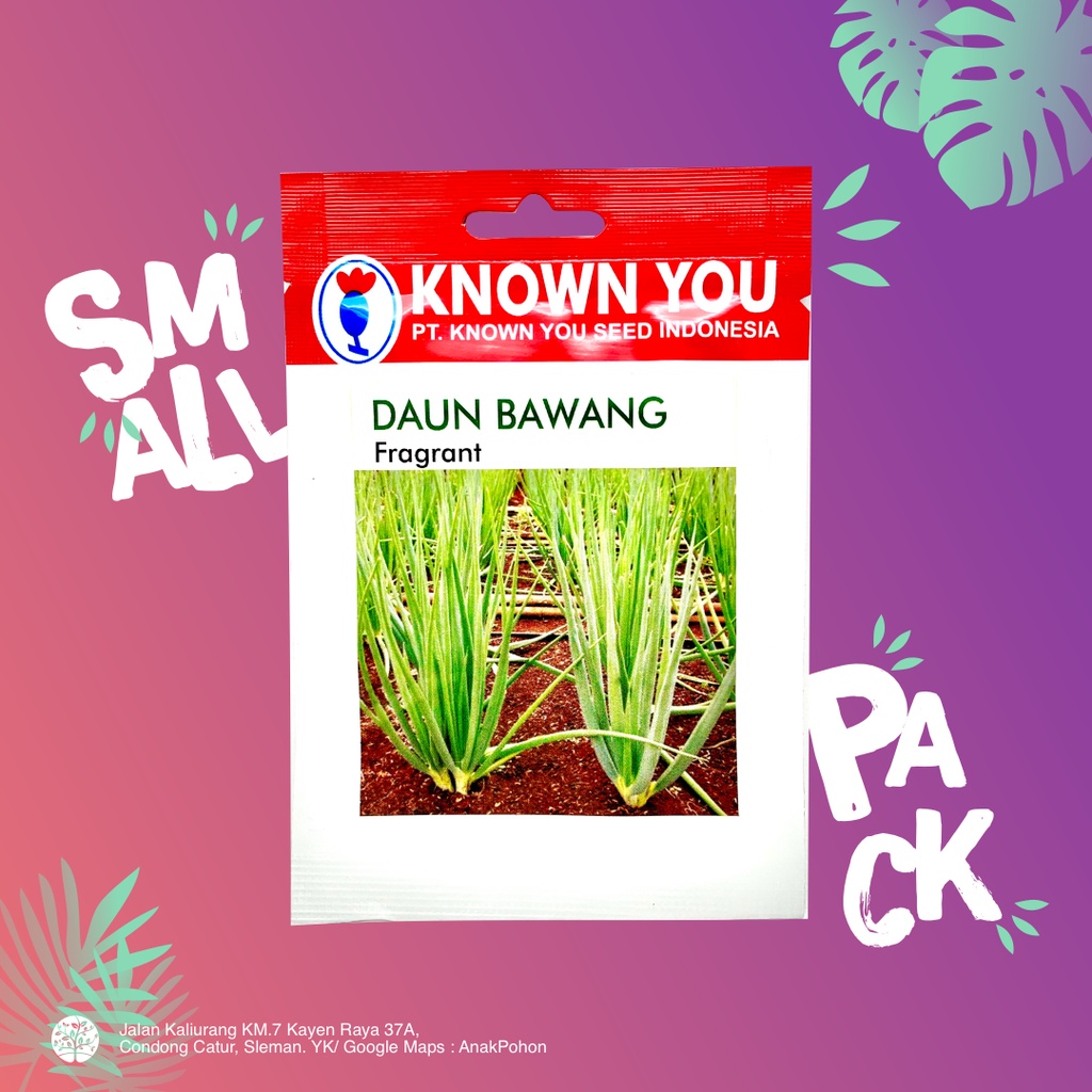 Jual 1 PACK Benih Daun Bawang Fragrant Known You Seed KYS 5 GRAM