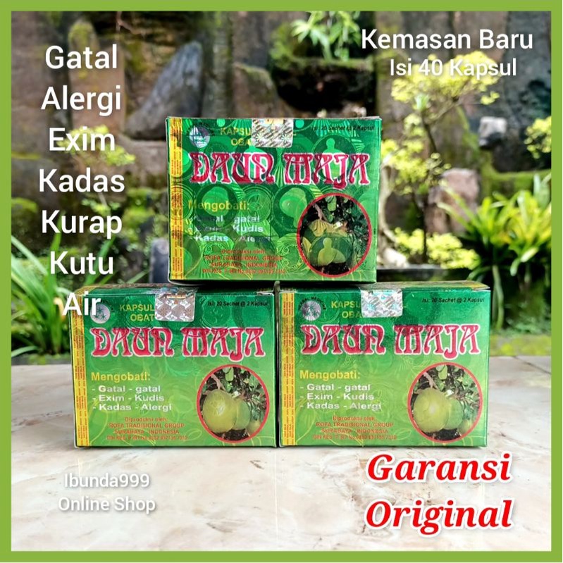 Jual Kapsul Daun Maja Asli Original Obat Gatal Alergi Kapsul Daun