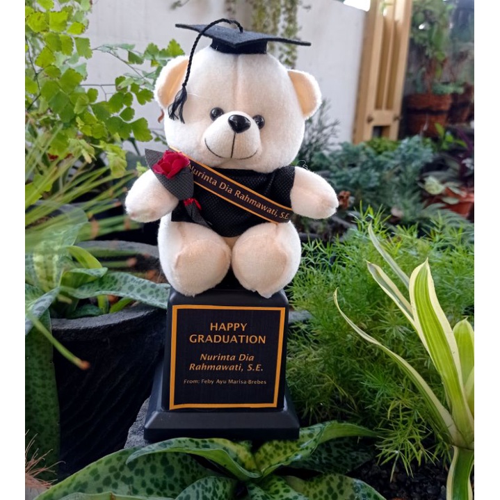 Jual PROMO TROPHY BONEKA WISUDA Kado Wisuda MURAH Piala Boneka Wisuda