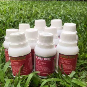 Jual Cairan Pelebur Granit Etsa Etsa Merah Putih 50ml Pelebur