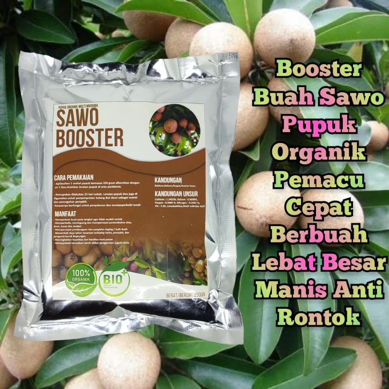 Jual Pupuk Organik Booster Sawo Cepat Berbuah Lebat Anti Rontok Pupuk