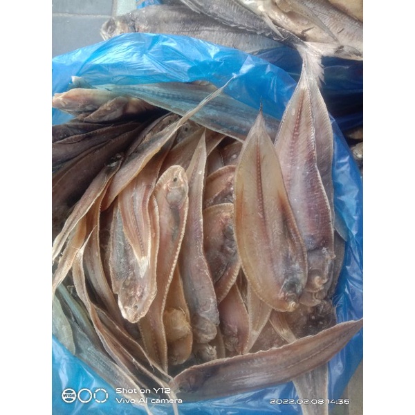 Jual Ikan Asin Lidah Shopee Indonesia