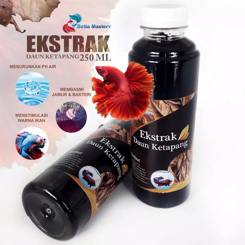 Jual Ekstrak Daun Ketapang 250ml Shopee Indonesia