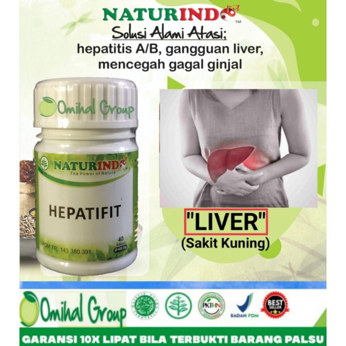 Jual Hepatifit Obat Herbal Hepatitis Ganguan Liver Bengkak Kronis Sakit