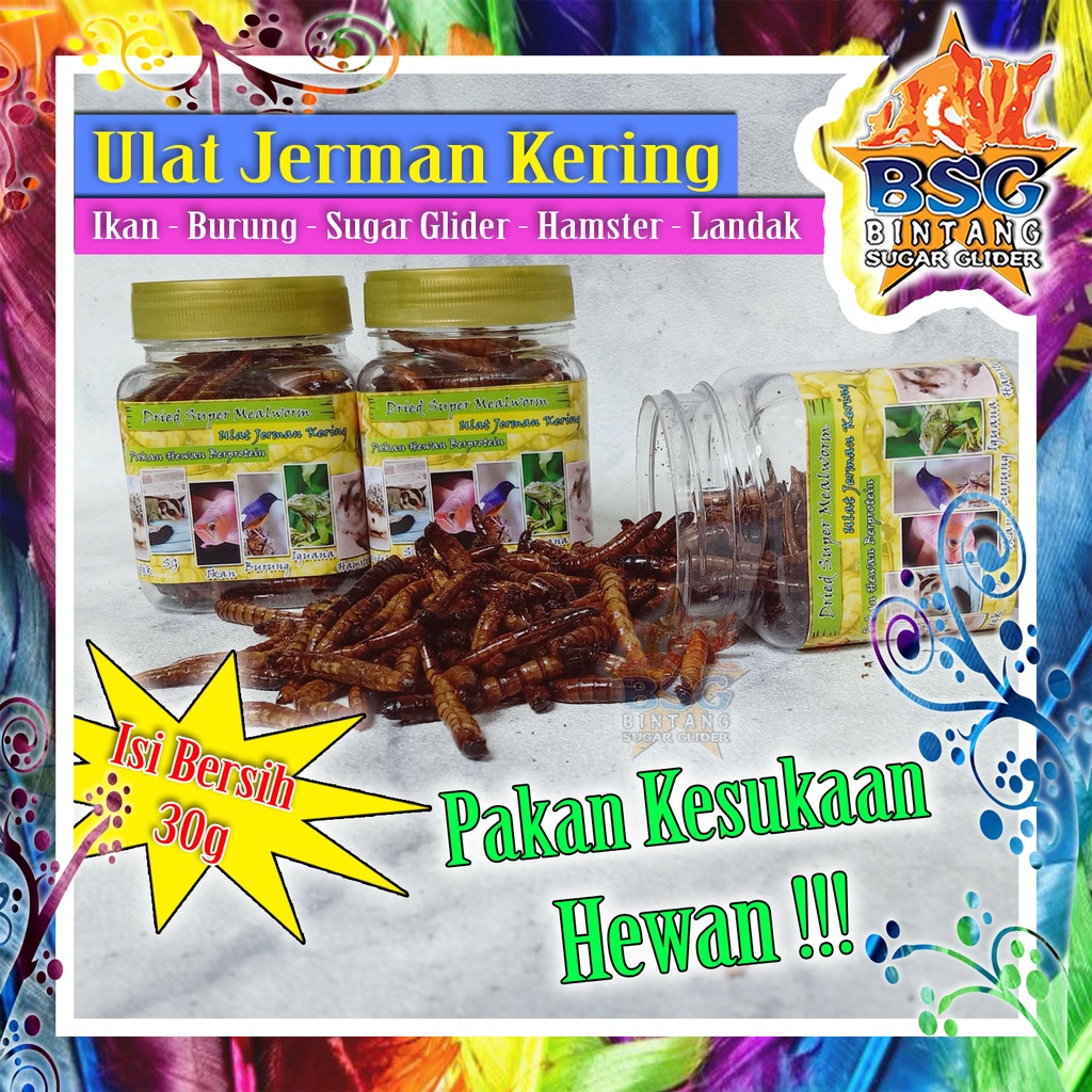 Jual Ulat Jerman Kering Dry Super Worm Makanan Hewan Pakan Ikan