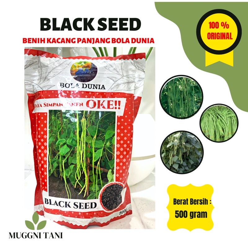 Jual BENIH BIBIT KACANG PANJANG BOLA DUNIA BLACK SEED 500gr Shopee