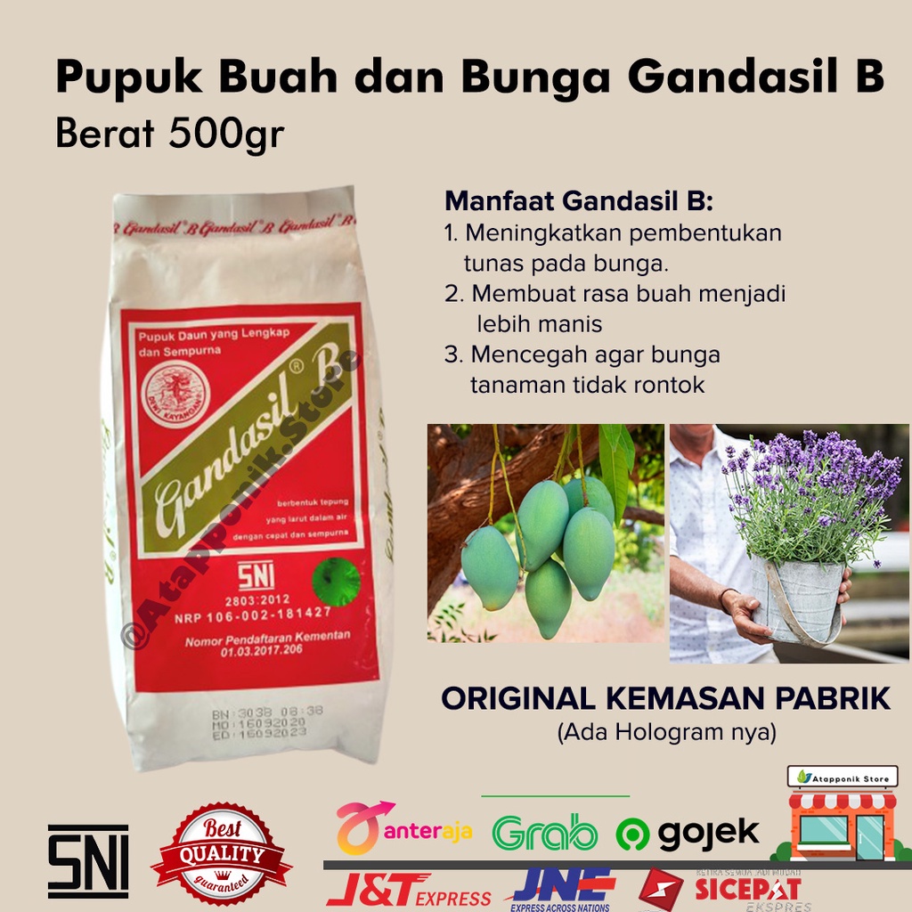 Jual Pupuk Tanaman Buah Dan Bunga Gandasil B Kemasan 500 Gram Shopee