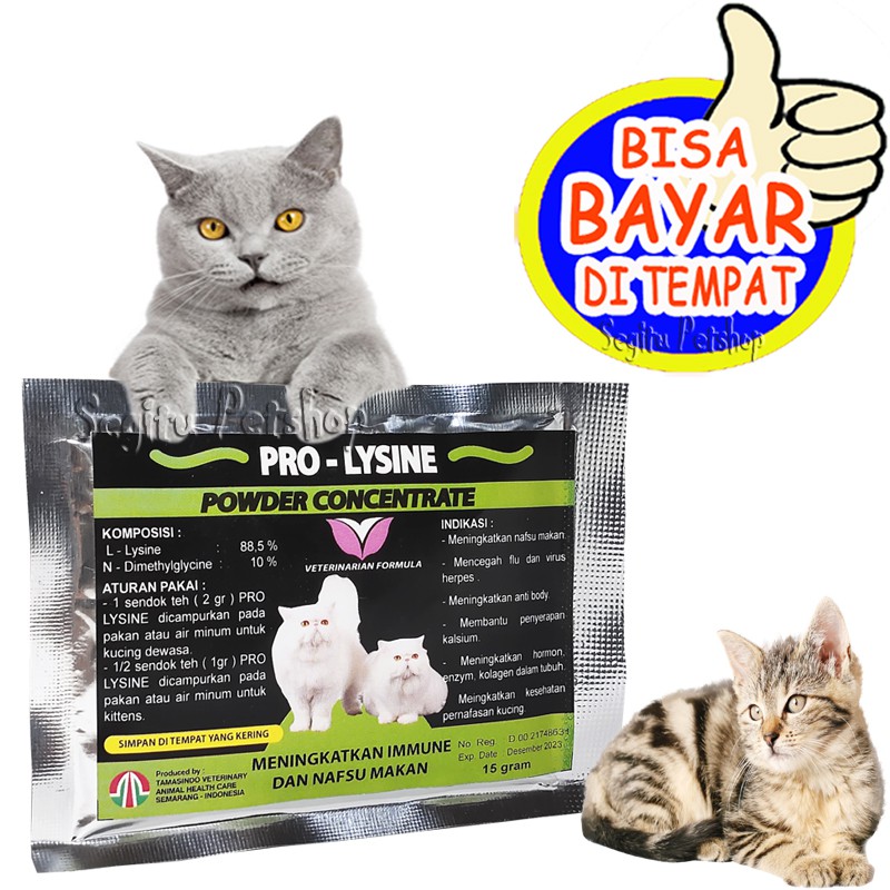 Jual Vitamin Penggemuk Kucing Kurus Penambah Nafsu Makan Pro Lysine