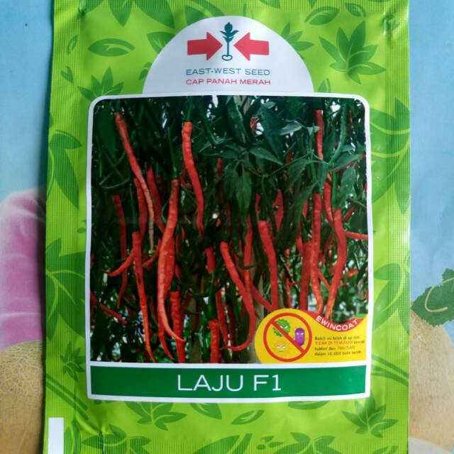 Jual Benih Bibit Cabe Merah Keriting Laju F Biji Shopee Indonesia