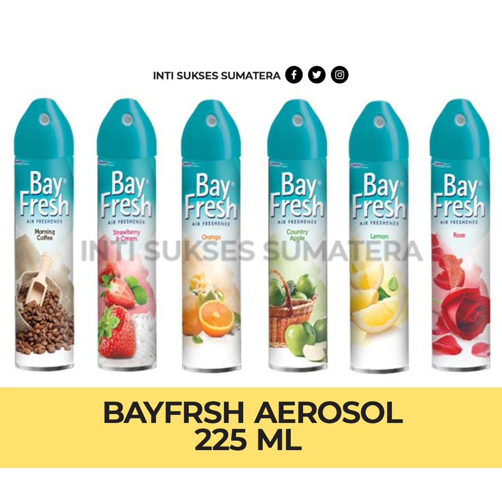 Jual BAYFRESH AEROSOL PENGHARUM RUANGAN 225 ML Shopee Indonesia